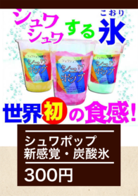 シュワポップ
新感覚・炭酸氷