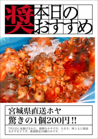 宮城県直送ホヤ