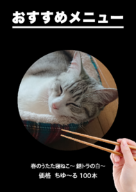 春のうたた寝ねこ～ 鯖トラの白～