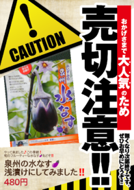 泉州の水なす🍆
浅漬けにしてみました‼